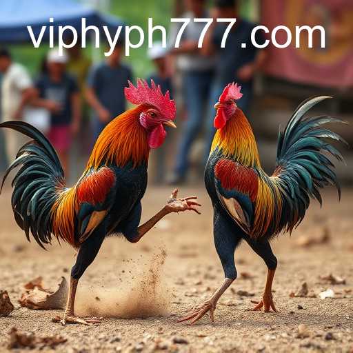 The World of Sabong Games and the Role of HYPH777